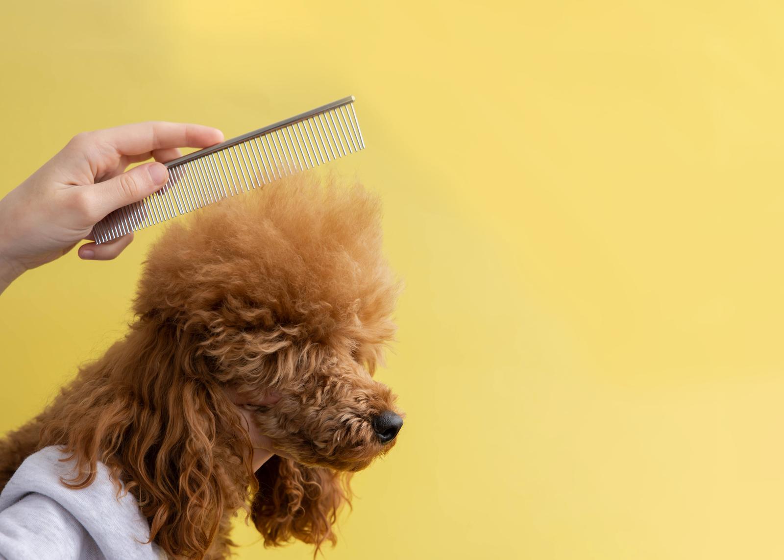 Best brush for poodle